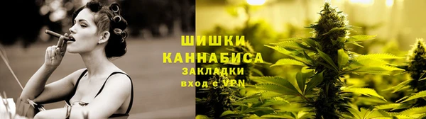 твердый Алзамай